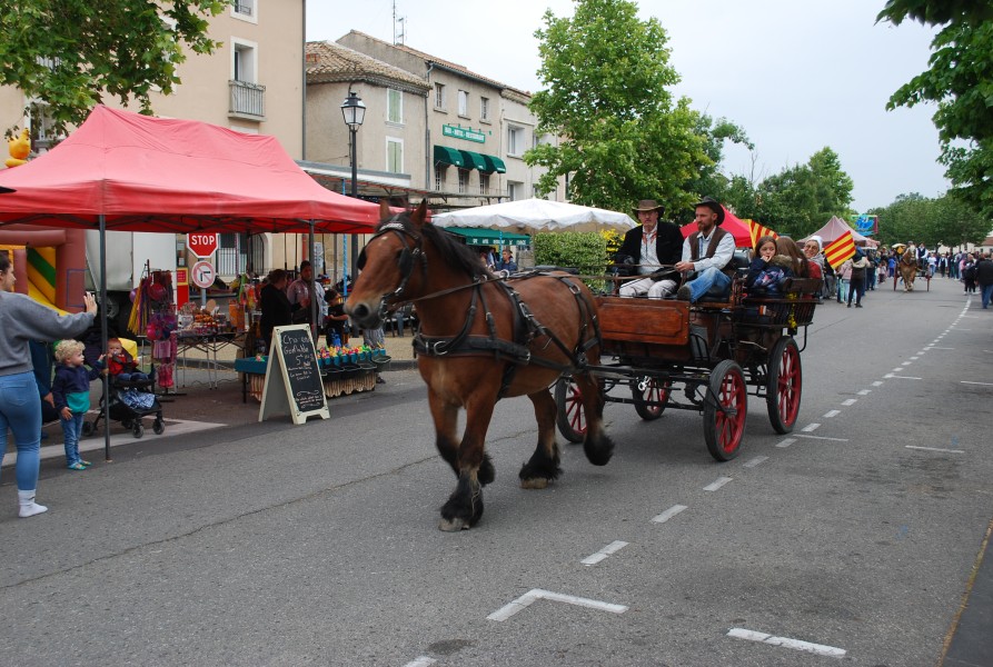 foire_chevaux_beda_2023_25.jpg