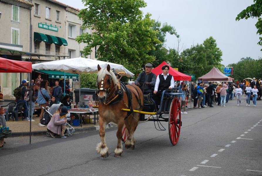 foire_chevaux_beda_2023_27.jpg