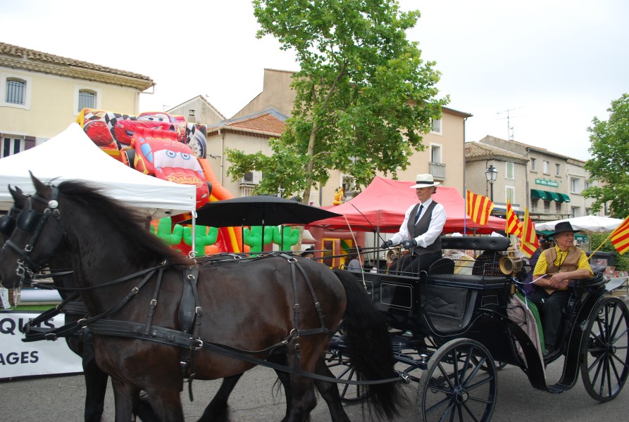 foire_chevaux_beda_2023_28.jpg