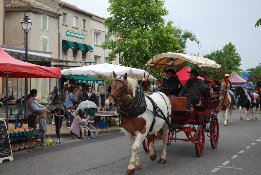 foire_chevaux_beda_2023_30.jpg