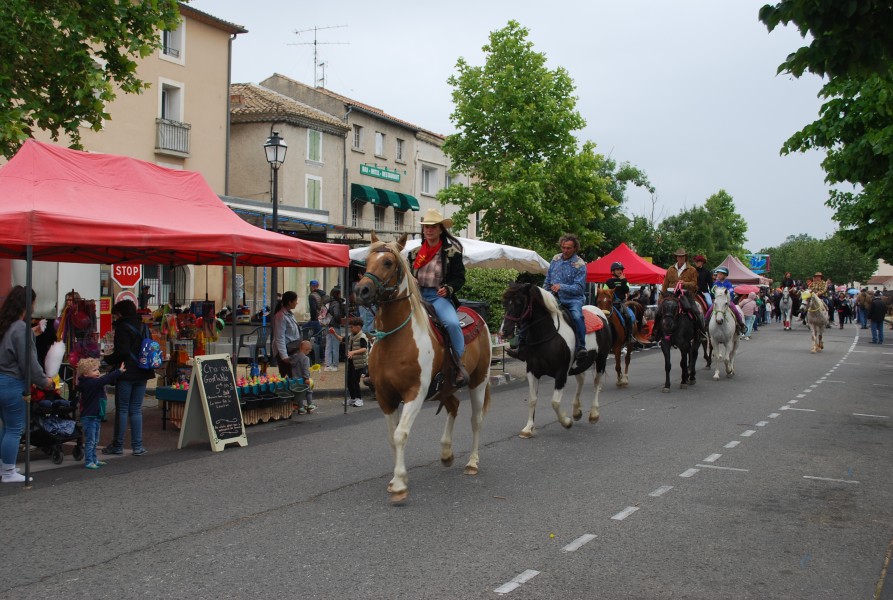 foire_chevaux_beda_2023_31.jpg