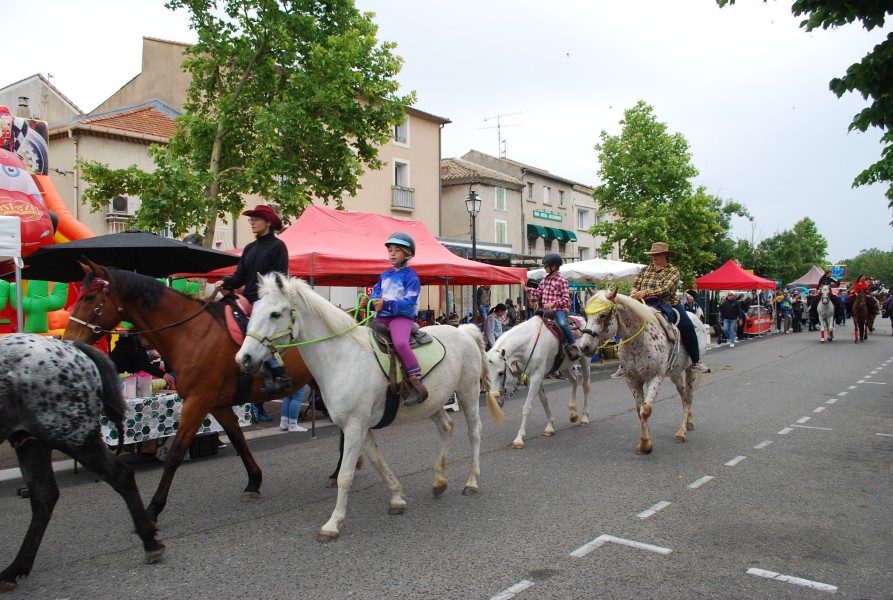 foire_chevaux_beda_2023_32.jpg