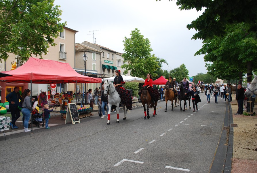 foire_chevaux_beda_2023_33.jpg