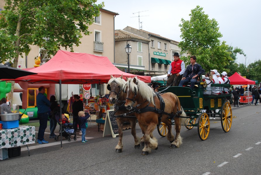 foire_chevaux_beda_2023_34.jpg