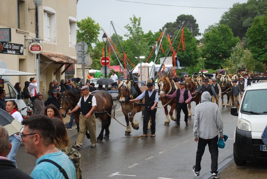 foire_chevaux_beda_2023_39.jpg