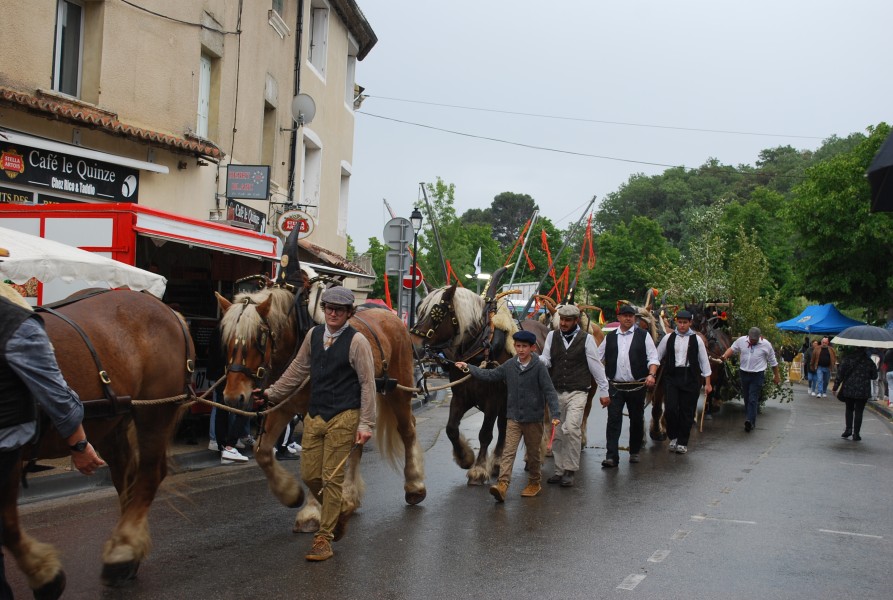 foire_chevaux_beda_2023_40.jpg