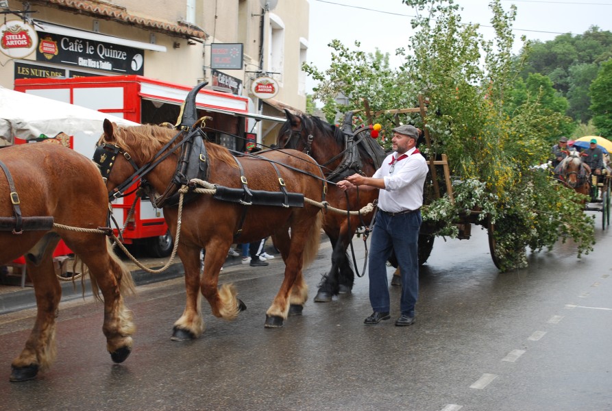 foire_chevaux_beda_2023_41.jpg