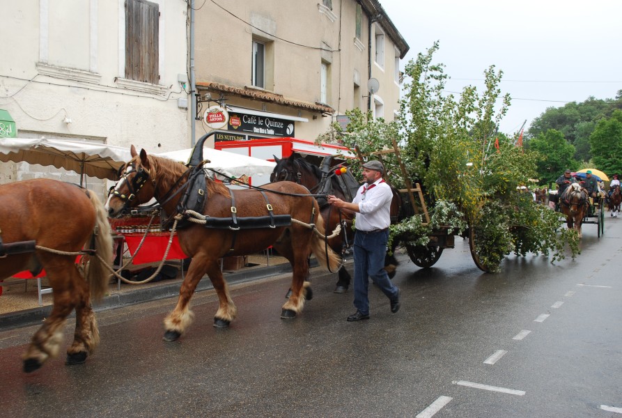 foire_chevaux_beda_2023_42.jpg