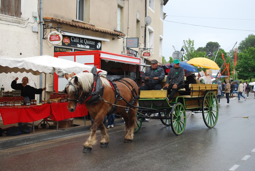 foire_chevaux_beda_2023_43.jpg