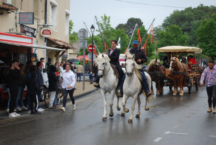 foire_chevaux_beda_2023_44.jpg