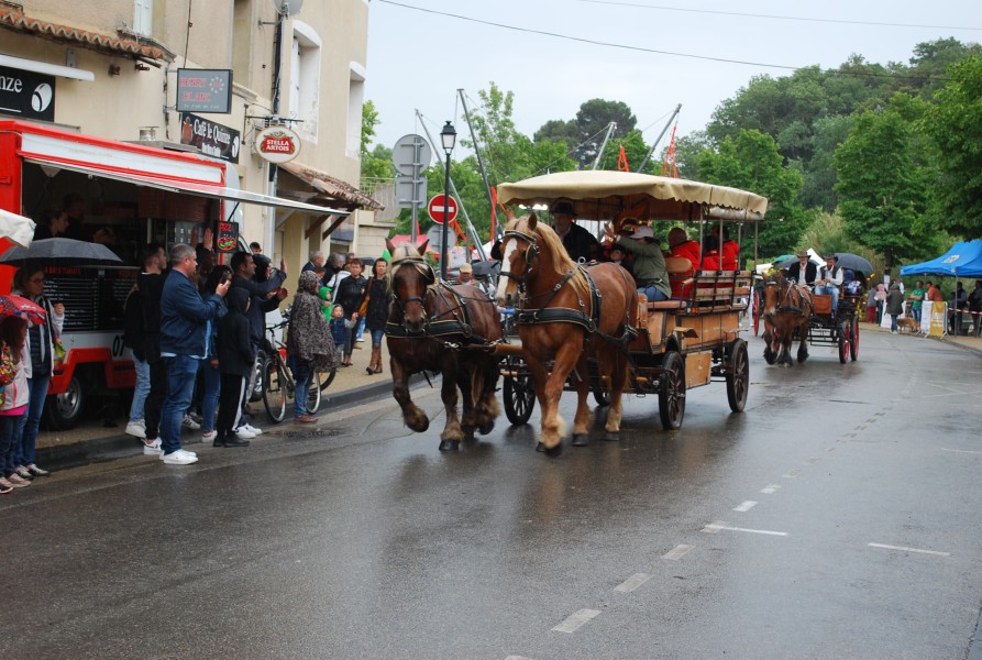 foire_chevaux_beda_2023_45.jpg