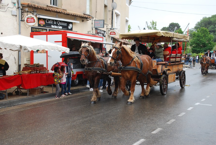 foire_chevaux_beda_2023_46.jpg