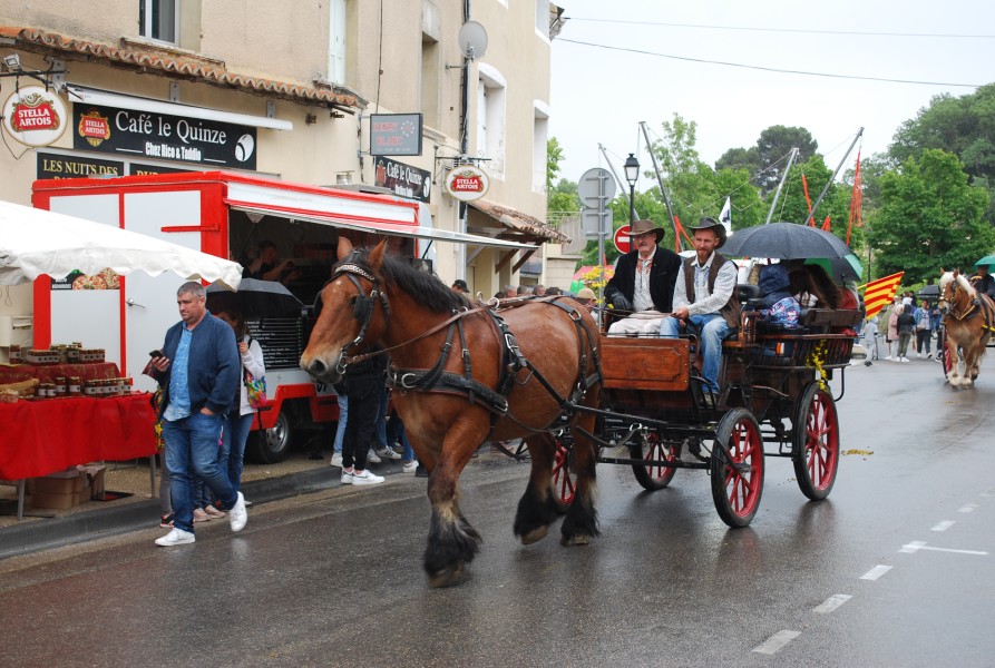 foire_chevaux_beda_2023_47.jpg