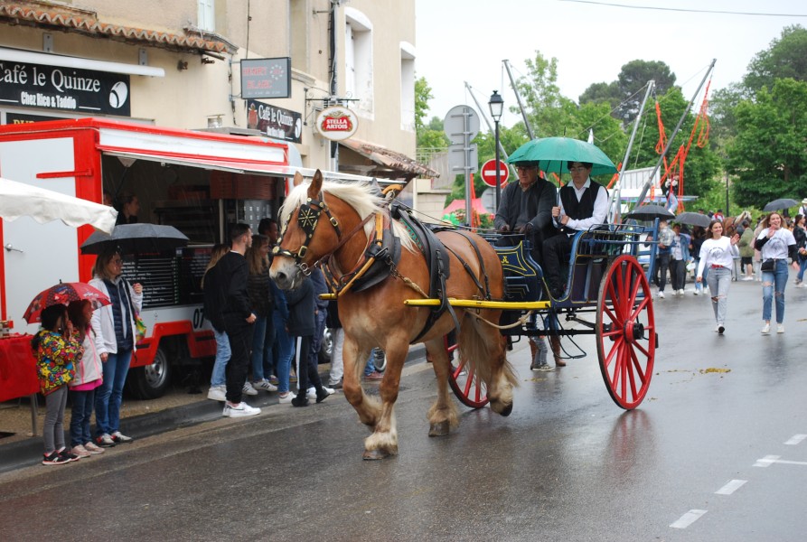 foire_chevaux_beda_2023_48.jpg