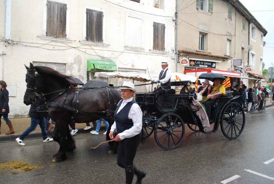 foire_chevaux_beda_2023_49.jpg