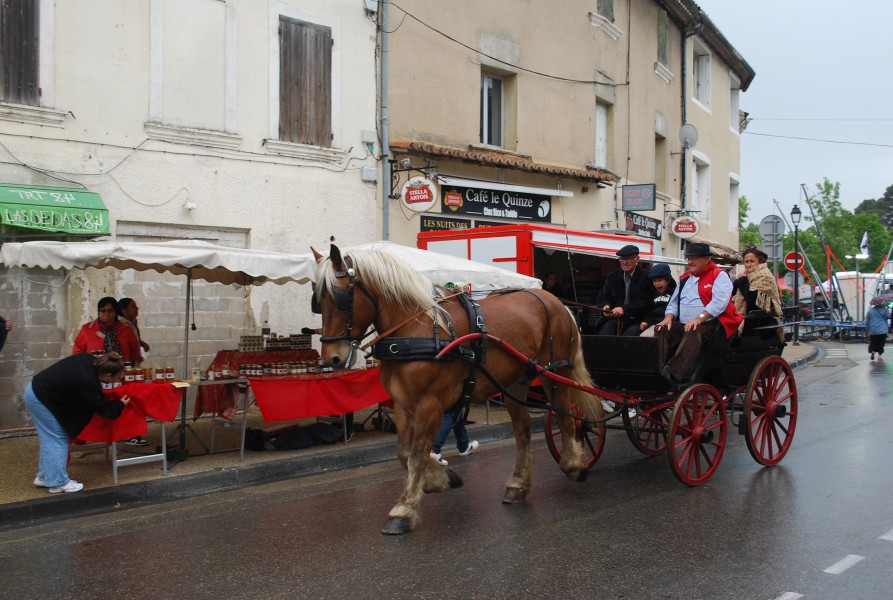 foire_chevaux_beda_2023_50.jpg