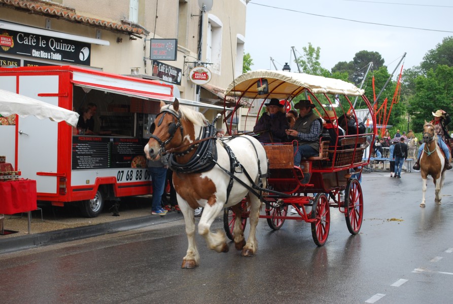 foire_chevaux_beda_2023_51.jpg