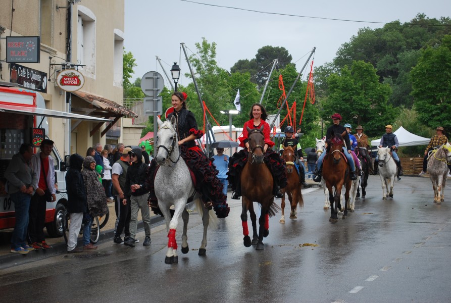 foire_chevaux_beda_2023_53.jpg