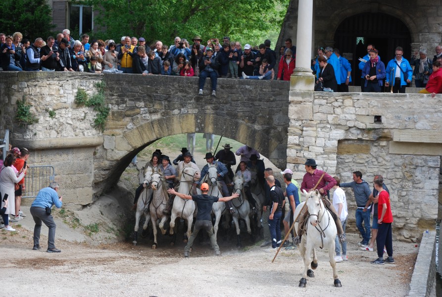 Abrivado pernes  2023_07.jpg