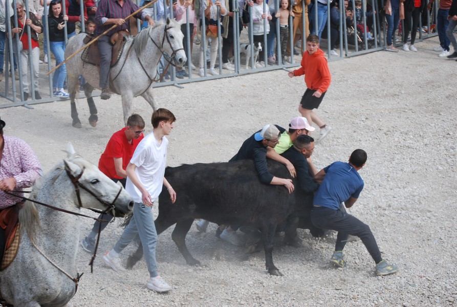 Abrivado pernes  2023_10.jpg