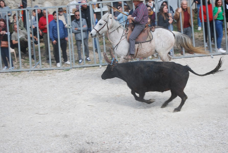 Abrivado pernes  2023_11.jpg