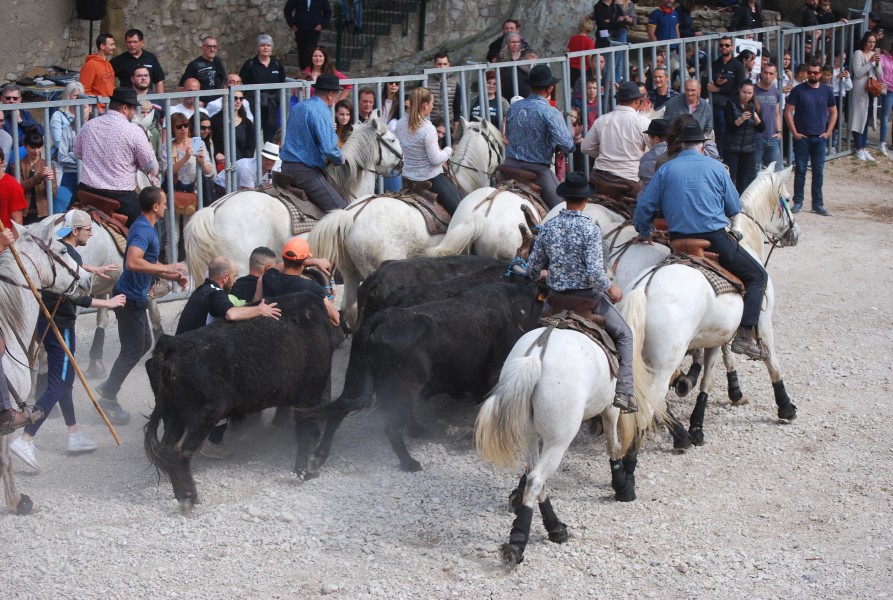 Abrivado pernes  2023_14.jpg