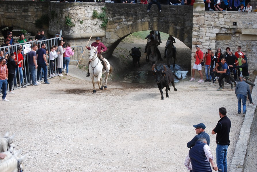 Abrivado pernes  2023_19.jpg
