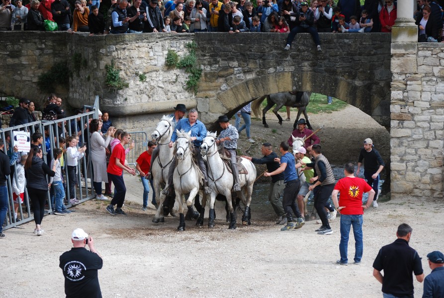 Abrivado pernes  2023_22.jpg