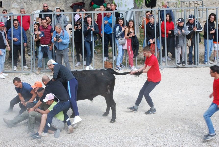 Abrivado pernes  2023_27.jpg