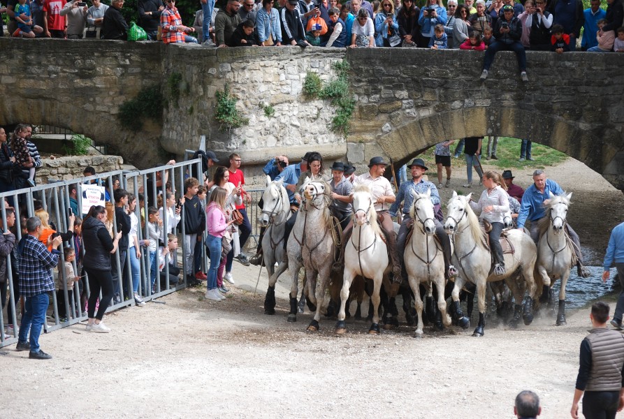 Abrivado pernes  2023_35.jpg
