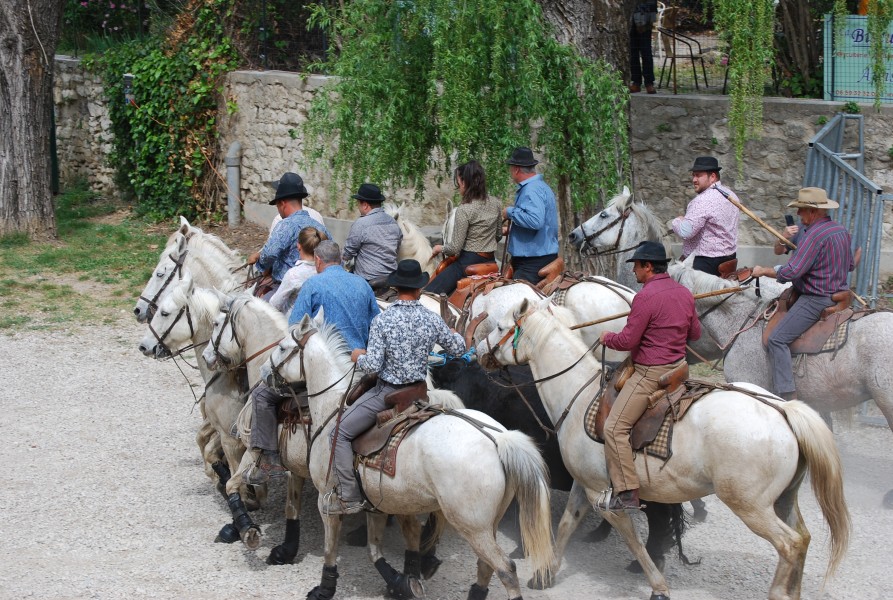 Abrivado pernes  2023_38.jpg
