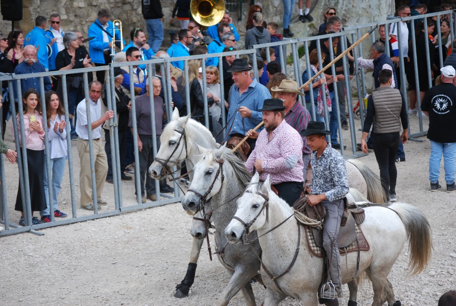 Abrivado pernes  2023_46.jpg