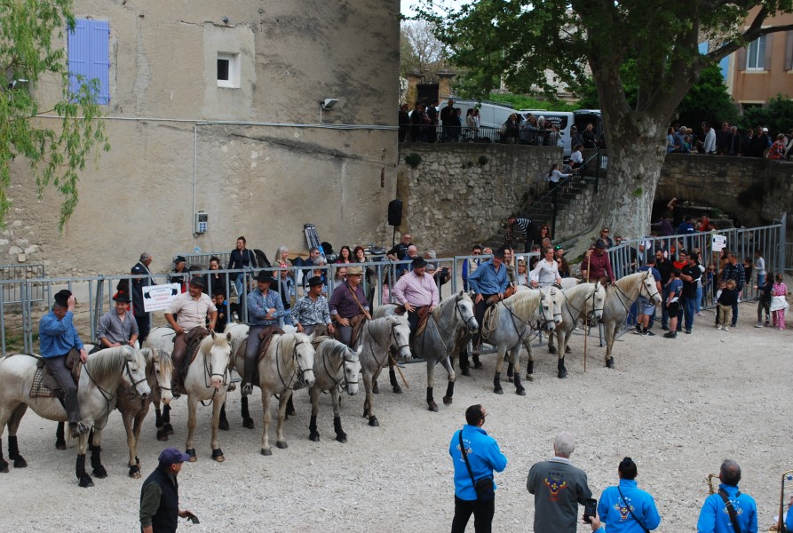Abrivado pernes  2023_49.jpg