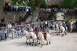 Abrivado pernes  2023_02.jpg