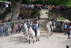 Abrivado pernes  2023_03.jpg
