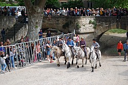 Abrivado pernes  2023_04.jpg
