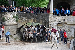 Abrivado pernes  2023_07.jpg