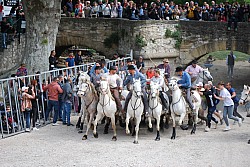 Abrivado pernes  2023_08.jpg