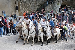 Abrivado pernes  2023_09.jpg