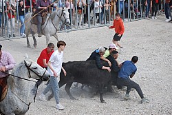 Abrivado pernes  2023_10.jpg
