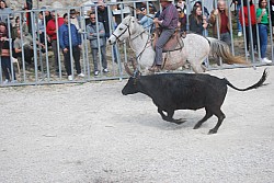 Abrivado pernes  2023_11.jpg
