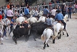 Abrivado pernes  2023_14.jpg