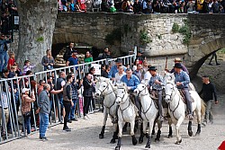 Abrivado pernes  2023_15.jpg