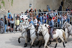 Abrivado pernes  2023_16.jpg