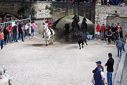 Abrivado pernes  2023_19.jpg