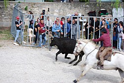 Abrivado pernes  2023_20.jpg