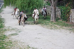 Abrivado pernes  2023_21.jpg