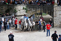 Abrivado pernes  2023_22.jpg