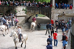 Abrivado pernes  2023_24.jpg