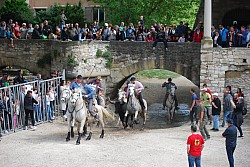 Abrivado pernes  2023_25.jpg